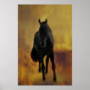 Recherche de frison posters Étalon