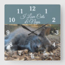 Recherche de petit somme de chat art Animaux
