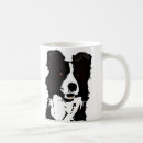 Recherche de border collie tasses Colley