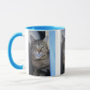 Recherche de chat tigré gris tasses Mignon