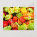 Recherche de poivron cartes postales Capsicum