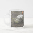 Recherche de os tasses Faune