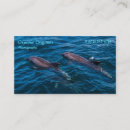 Recherche de dauphins cartes visite Vie marine