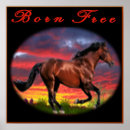 Recherche de cheval art Animaux