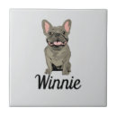 Recherche de bouledogue français carreaux Mignon