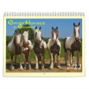 Recherche de gitan Étameur ambulant