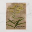 Recherche de médicament cartes postales Plante