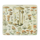Recherche de champignon planches à découper Nature