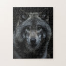 Recherche de portrait gris loups loups gris puzzles Sauvage