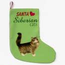 Recherche de bas chat de chaussette de noël Cats