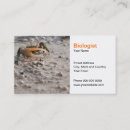 Recherche de biologistes cartes visite Faune