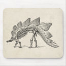 Recherche de squelette tapis souris Animaux