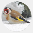 Recherche de européens autocollants Nature
