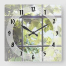 Recherche de vigne horloges Vert