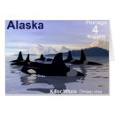 Recherche de whale Alaska