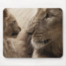 Recherche de lion de bébé électronique Lions