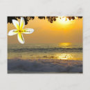 Recherche de surf photo cartes postales Surfers