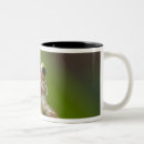 Recherche de montagnard tasses Forêt