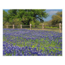 Recherche de le texas photographie Printemps