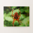Recherche de spider puzzles Arachnid