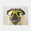 Recherche de de chien carlin terrasses jardins Mignon