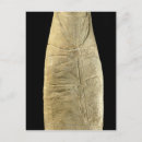 Recherche de gaulois cartes postales 01st