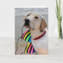 Recherche de anniversaire labrador retriever cartes invitations Dog