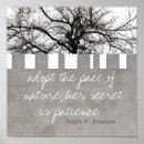 Recherche de quotation posters Decor