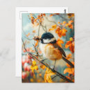 Recherche de très bien cartes postales Oiseau