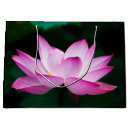 Recherche de padme de mani Fleur de lotus