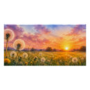 Recherche de pissenlit posters Fleurs sauvages