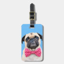 Recherche de bouledogue français bagages étiquettes Animal de compagnie