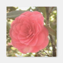 Recherche de camélia magnets Fleur