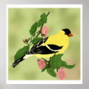 Recherche de reproduction de chardonneret posters Pinson