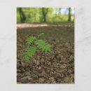Recherche de arbre de vie cartes postales Croissance