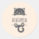 Recherche de black cat Chat