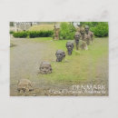 Recherche de royaume des fées cartes postales Contes de fées