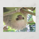 Recherche de pendu cartes postales Animaux