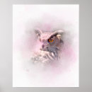 Recherche de hibou à cornes posters Oiseaux de proie