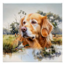 Recherche de canard jaune posters Labrador