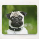 Recherche de balais tapis souris Regarder l'appareil photo