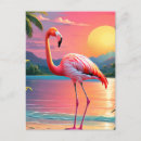 Recherche de flamant exotique cartes postales Nature