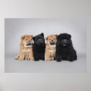 Recherche de affection posters Rouge