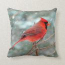 Recherche de cardinal du nord coussins Neige
