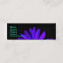 Recherche de gerbera photographie Botanique