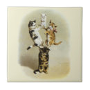 Recherche de humour de chat carreaux Drôle