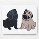 Recherche de chiot carlin tapis souris Faon