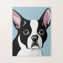 Recherche de boston terrier puzzles Chiens