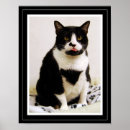 Recherche de smoking art Minou