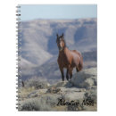 Recherche de stallion Cheval sauvage